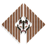 Ernesto Oñate - Lynx pardinus - 2020